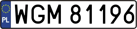 WGM81196