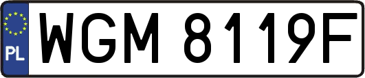 WGM8119F