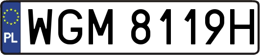 WGM8119H