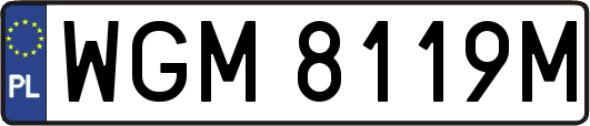 WGM8119M