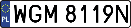 WGM8119N
