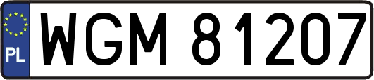 WGM81207