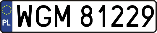 WGM81229