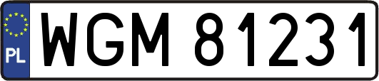 WGM81231