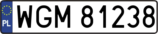 WGM81238