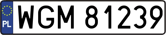 WGM81239