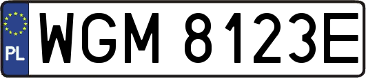 WGM8123E