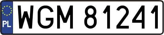 WGM81241