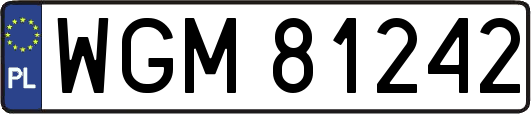 WGM81242