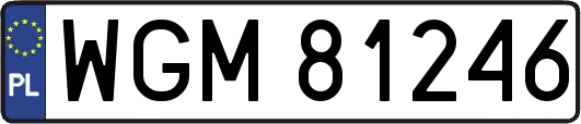 WGM81246