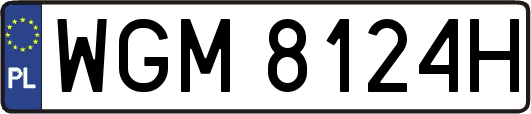 WGM8124H