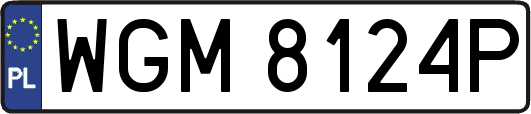 WGM8124P