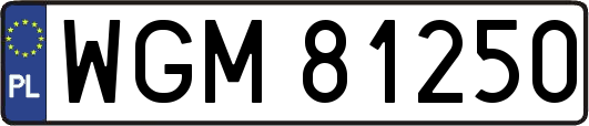 WGM81250