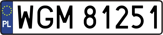 WGM81251