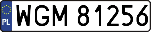 WGM81256