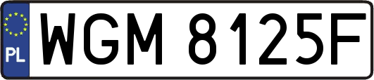WGM8125F