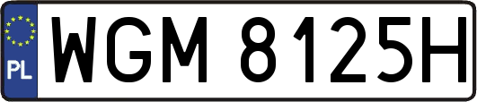 WGM8125H