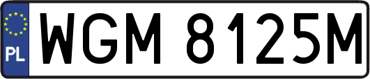 WGM8125M