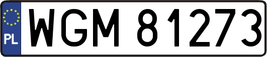 WGM81273