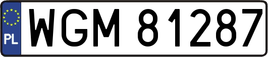 WGM81287