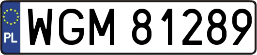 WGM81289