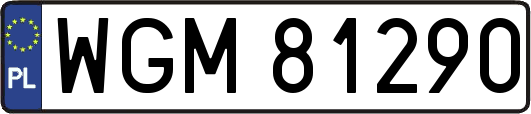 WGM81290