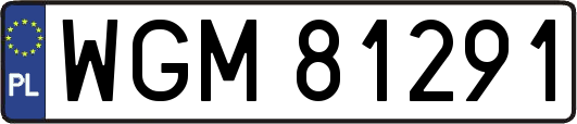 WGM81291