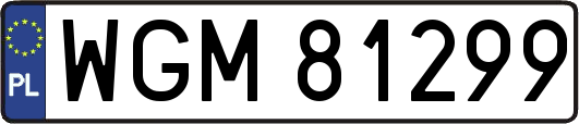 WGM81299