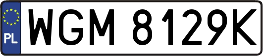 WGM8129K