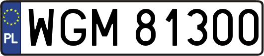 WGM81300