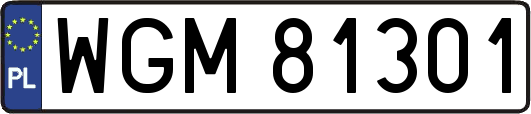 WGM81301