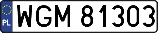 WGM81303