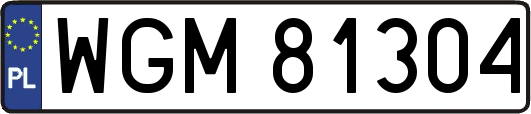 WGM81304