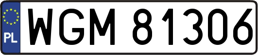 WGM81306