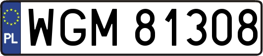 WGM81308