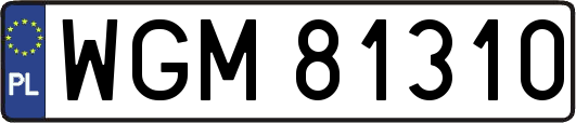 WGM81310