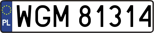 WGM81314