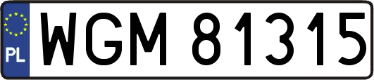 WGM81315