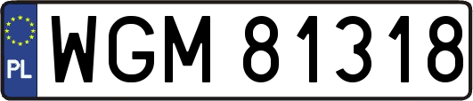 WGM81318
