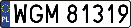 WGM81319