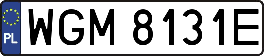 WGM8131E