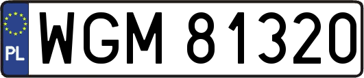 WGM81320