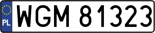 WGM81323