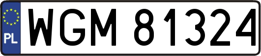 WGM81324