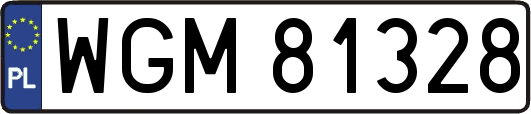 WGM81328