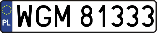 WGM81333