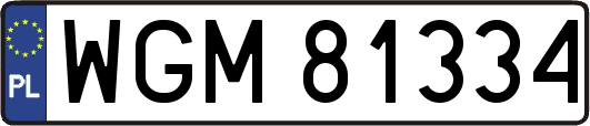 WGM81334