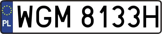 WGM8133H