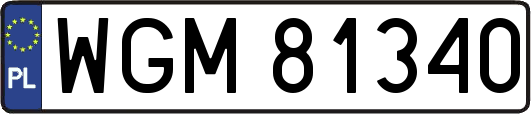 WGM81340