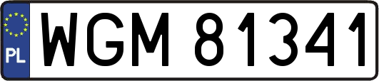 WGM81341